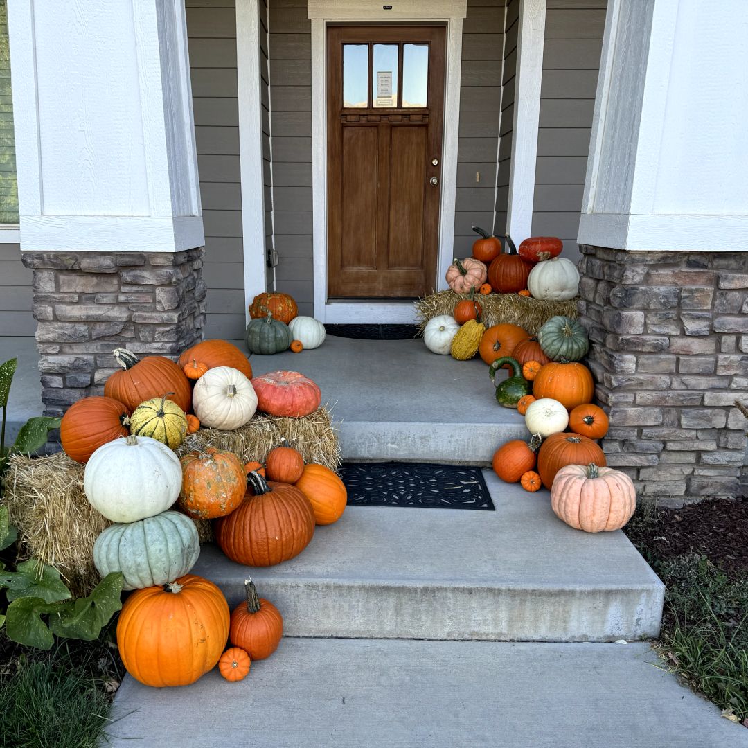 Utah Porch Decorators Pumpkin Package